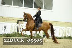 24BUCK_05505 thumbnail
