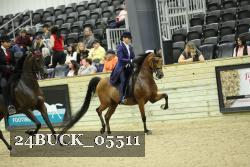 24BUCK_05511 thumbnail