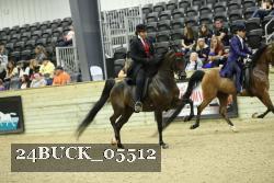 24BUCK_05512 thumbnail