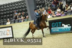 24BUCK_05514 thumbnail