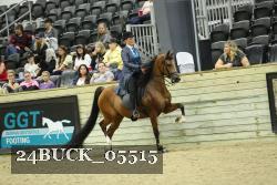 24BUCK_05515 thumbnail