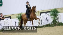 24BUCK_05516 thumbnail