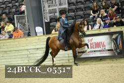 24BUCK_05517 thumbnail