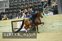 24BUCK_05518 thumbnail