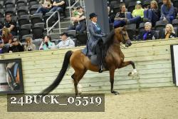 24BUCK_05519 thumbnail