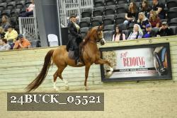 24BUCK_05521 thumbnail