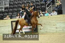24BUCK_05522 thumbnail