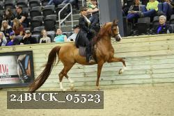 24BUCK_05523 thumbnail