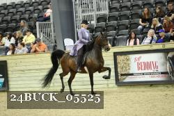 24BUCK_05525 thumbnail