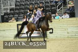 24BUCK_05526 thumbnail