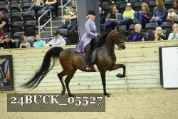 24BUCK_05527 thumbnail