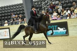 24BUCK_05528 thumbnail