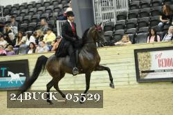 24BUCK_05529 thumbnail