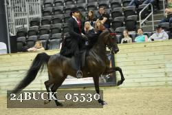 24BUCK_05530 thumbnail
