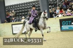 24BUCK_05531 thumbnail
