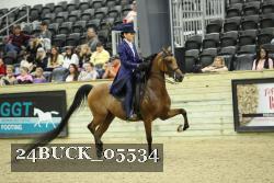 24BUCK_05534 thumbnail