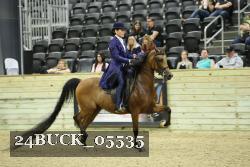 24BUCK_05535 thumbnail