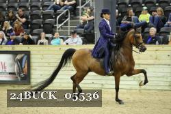 24BUCK_05536 thumbnail