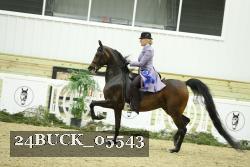 24BUCK_05543 thumbnail