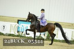 24BUCK_05544 thumbnail