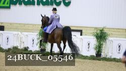 24BUCK_05546 thumbnail