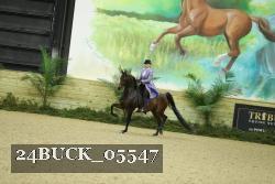 24BUCK_05547 thumbnail