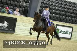 24BUCK_05550 thumbnail