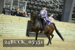 24BUCK_05551 thumbnail