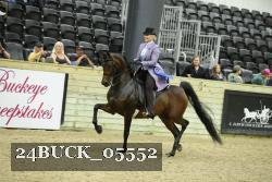 24BUCK_05552 thumbnail
