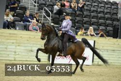 24BUCK_05553 thumbnail
