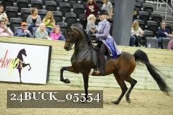 24BUCK_05554 thumbnail