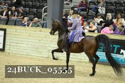 24BUCK_05555 thumbnail