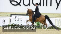 24BUCK_05562 thumbnail