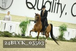24BUCK_05563 thumbnail