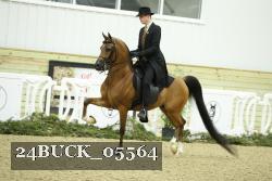 24BUCK_05564 thumbnail