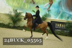 24BUCK_05565 thumbnail