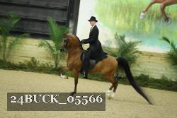 24BUCK_05566 thumbnail