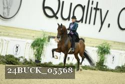 24BUCK_05568 thumbnail