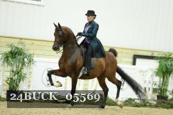 24BUCK_05569 thumbnail