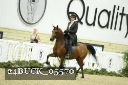 24BUCK_05570 thumbnail