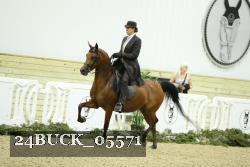 24BUCK_05571 thumbnail