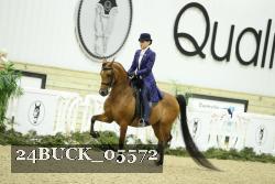 24BUCK_05572 thumbnail