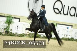 24BUCK_05573 thumbnail