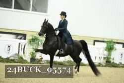 24BUCK_05574 thumbnail