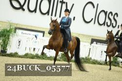 24BUCK_05577 thumbnail
