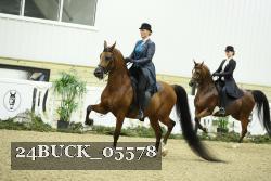 24BUCK_05578 thumbnail