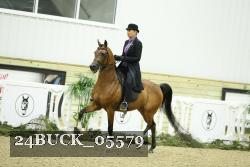 24BUCK_05579 thumbnail