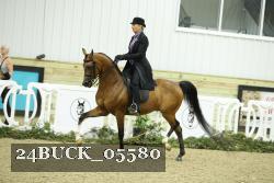 24BUCK_05580 thumbnail