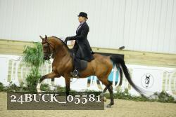 24BUCK_05581 thumbnail