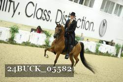 24BUCK_05582 thumbnail